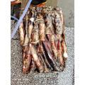 Frozen squid whole shatter Frozen Squid Sthenoteuthis Oualaniensis 0-100g Manufactory